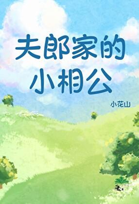 夫郎家的小相公