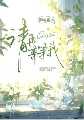 请再等等我