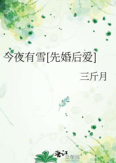 今夜有雪[先婚后爱]