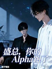 盛总,你的Alpha跑了