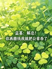 盗墓:解总!你再撒钱我就把公章