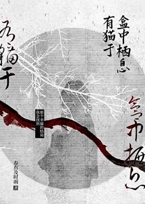 有猫自盒中栖息