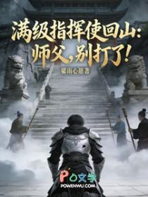 满级指挥使回山：师父，别打了