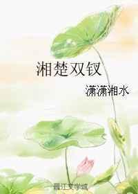 湘楚双钗