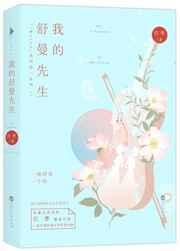 我的舒曼先生
