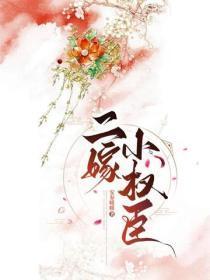 二嫁小权臣