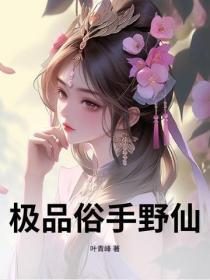 极品俗手野仙