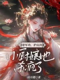 建军功,护山河,小厨娘她杀疯了