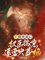 丫鬟死遁后,权臣揣崽追妻火葬场