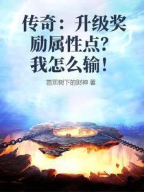 传奇:升级奖励属性点?我怎么输!