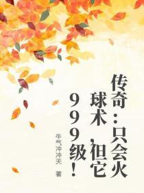 传奇：只会火球术，但它999级！