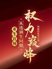 重生官场:从选调生问鼎权力巅峰