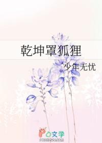 乾坤罩狐狸