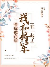 系统破产后我和将军HE了