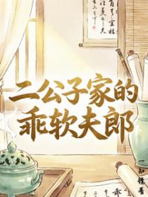 二公子家的乖软夫郎