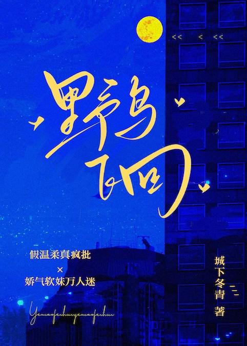 野鸟飞回[先婚后爱]