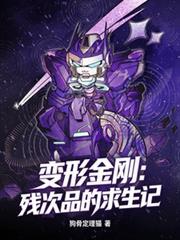 变形金刚:残次品的求生记