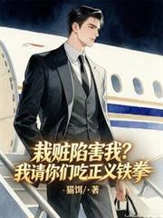 栽赃陷害我?我请你们吃正义铁拳