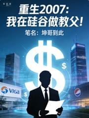 重生2007:我在硅谷做教父!