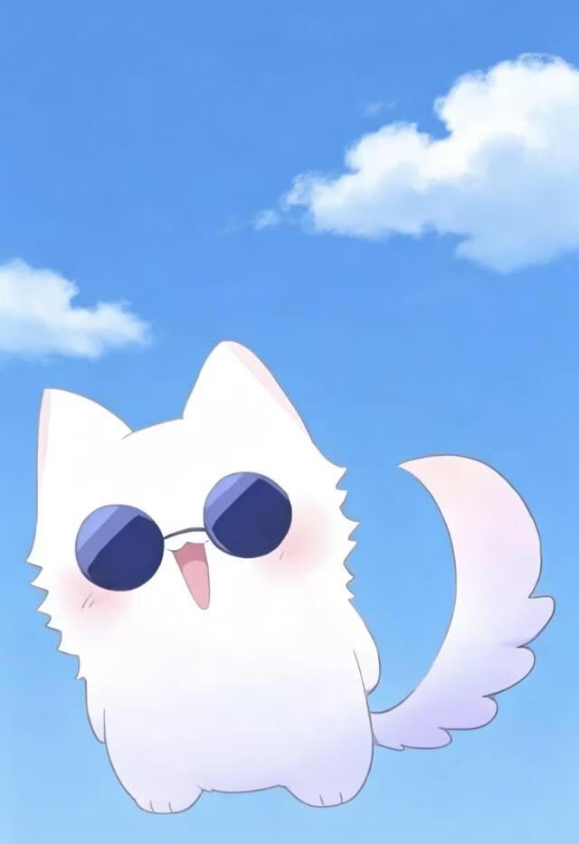 掌心上的悟咪