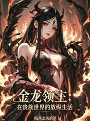金龙领主:在贵族世界的放纵生活