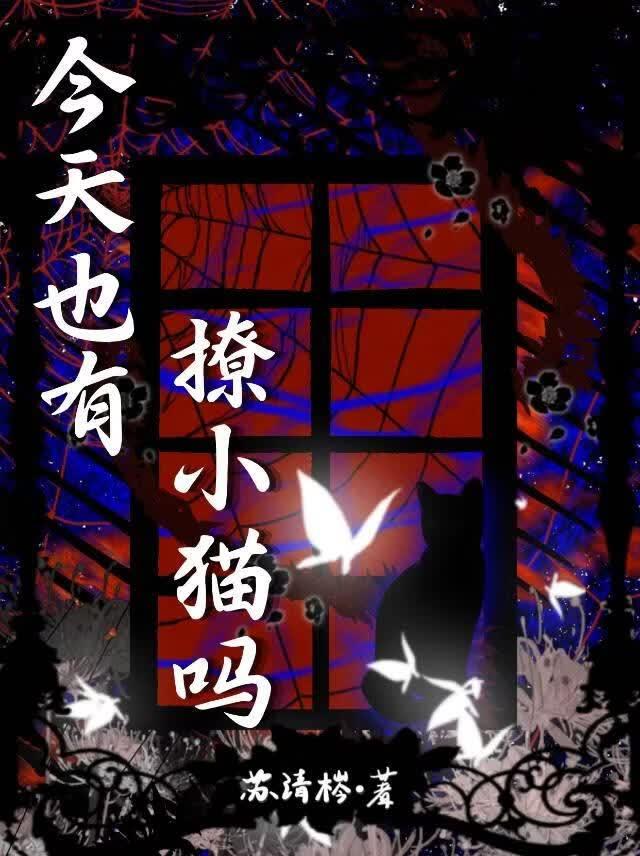 今天也有撩到小猫吗