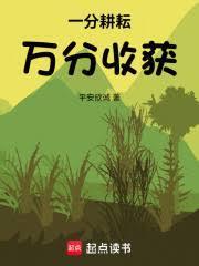 一分耕耘,万分收获!