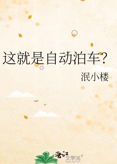 这就是自动泊车？
