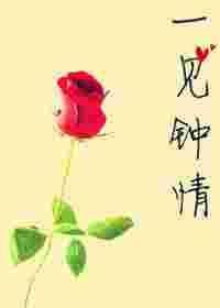 一见钟情[娱乐圈]