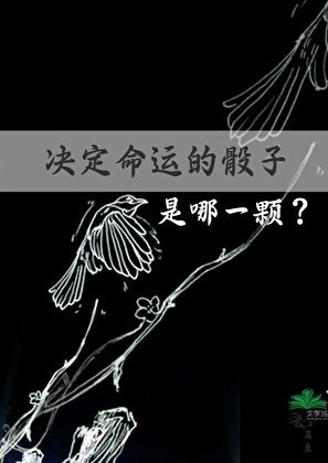 决定命运的骰子是哪一颗？