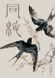 同枝（1v1史同兄妹真骨·嬴政x嬴婼）