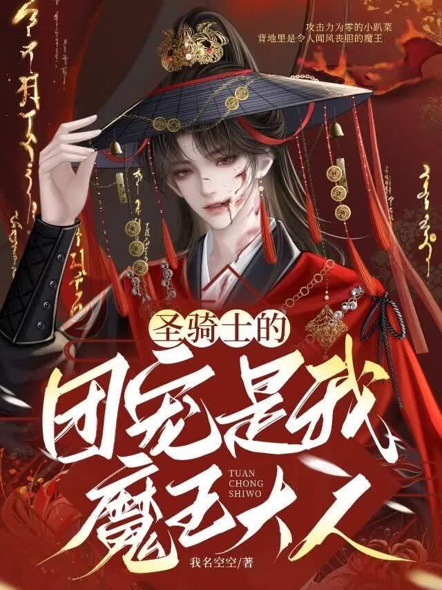 圣骑士的团宠是我魔王大人