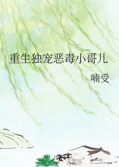 重生独宠恶毒小哥儿