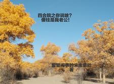 四合院之你说啥?傻柱是我老公!