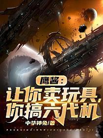 鹰酱:让你卖玩具,你搞六代机