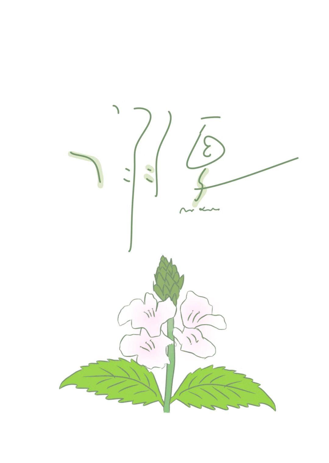溺夏