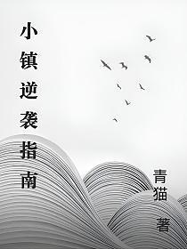 小镇逆袭指南