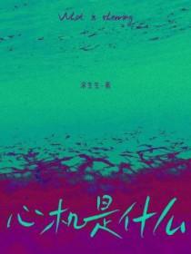 心机是什么