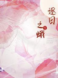 逐日之蛾