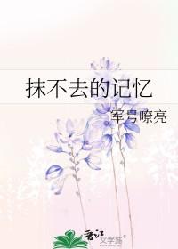 抹不去的回忆