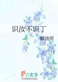 识汝不识丁